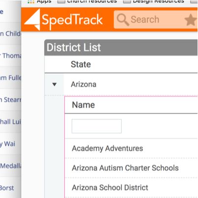 state IEP system